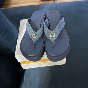 Coach Denim Blue Platform Flip Flops